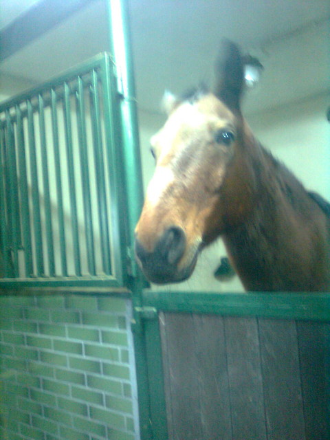 Kupich .. ;p