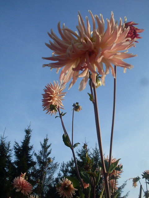 Wpis photography0700