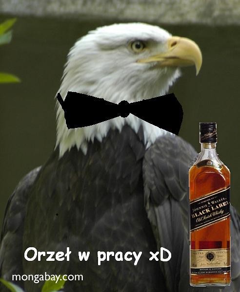 no i wszystko jasne xD