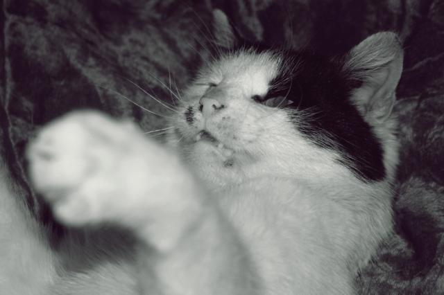 Agata.:*