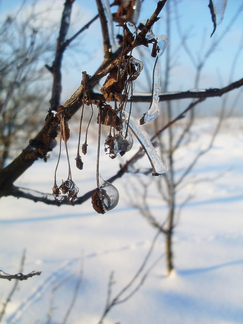 Wpis photography0700