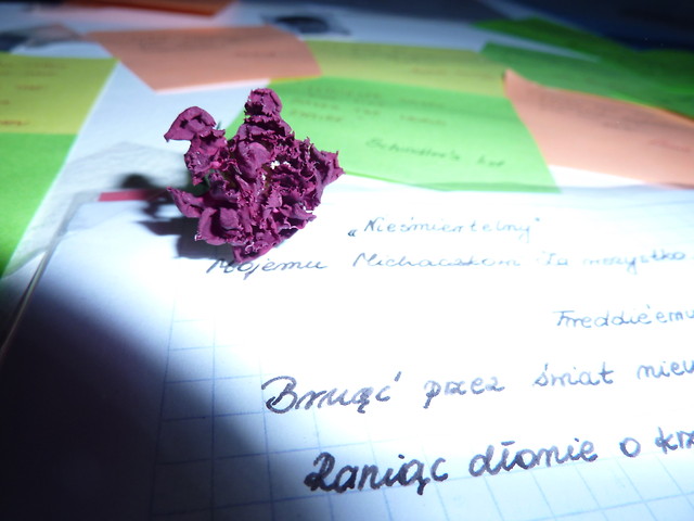 Wpis michacz