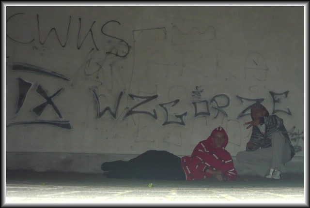 Wpis xxxleonek