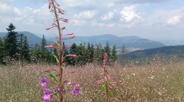 Beskid Wyspowy