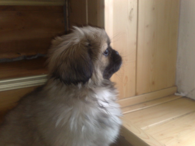 Mj Skarbek:***