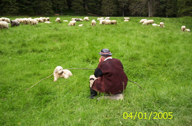 Zakopane.