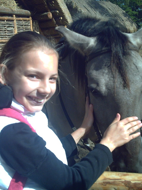 Konik Polski