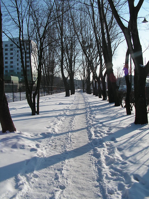 Morskie opowieci