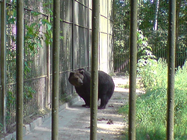zoo