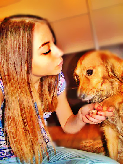 Wpis pajcka