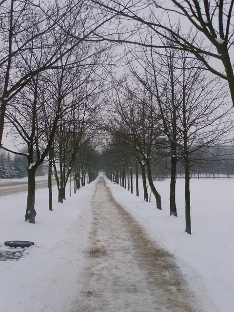 on a lonly road