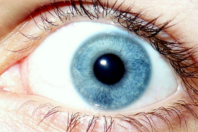 Oko,Auge,Eye,Oog,Boka,Maka,Ojo