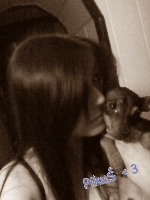 + Piku  < 3