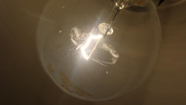 Bulb