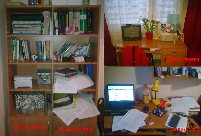 MOJA NOWA WSPӣLOKATORKA :P