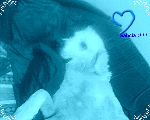 Wpis xxxkooloorowaaaxxx