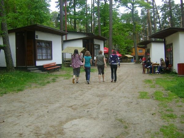 Wpis skieraa