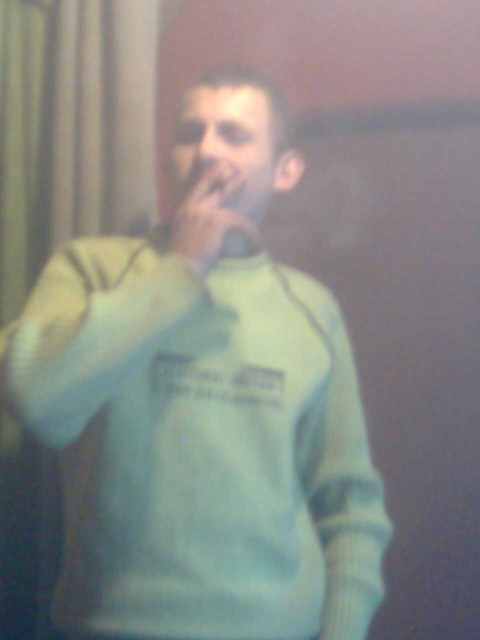 zioo si jara d\ale daje w paln