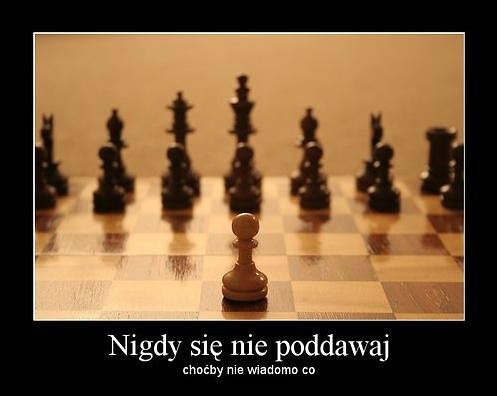 Wpis zelkowypotwor