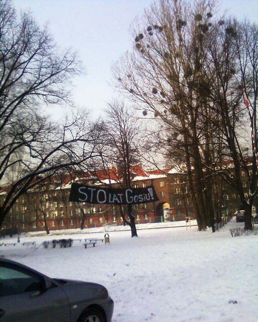 Sto lat Gosiu !