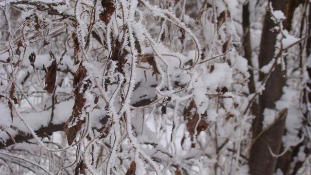 Winter again
