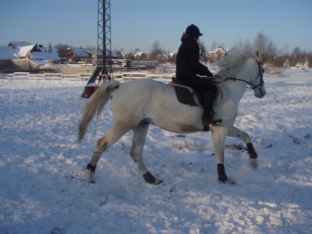 Wpis karolinakonie
