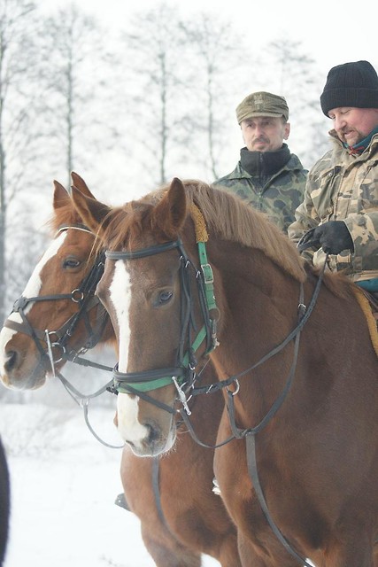 Wpis stajnia0zdybowisko