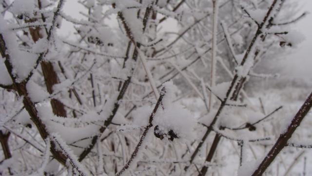 There is still winter...