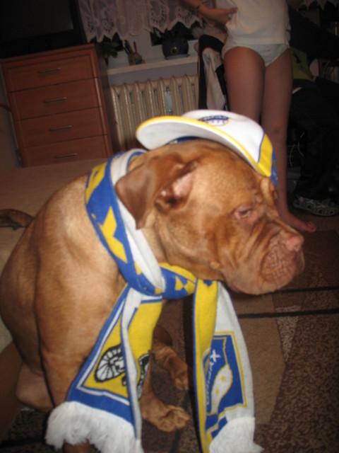 KiBiC ;-]   :D