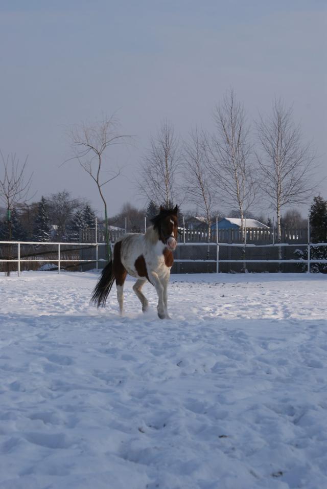 Hossa :))