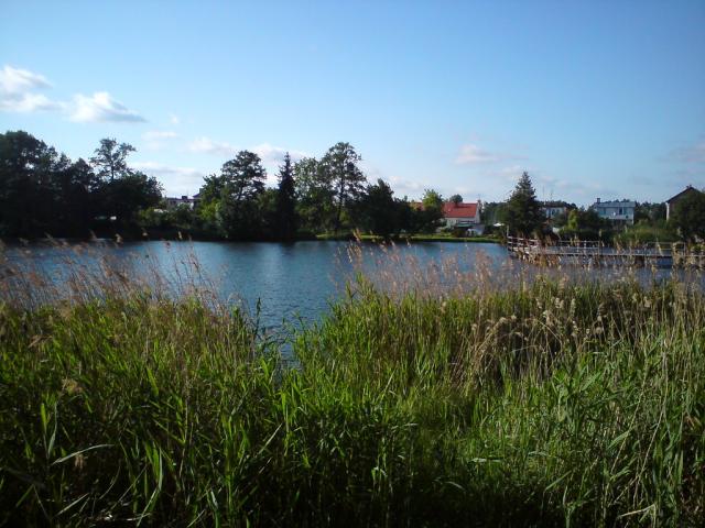 The Lake