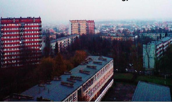 Wpis kylutki0196