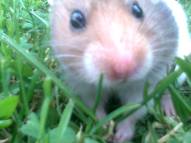 Puszek ;*