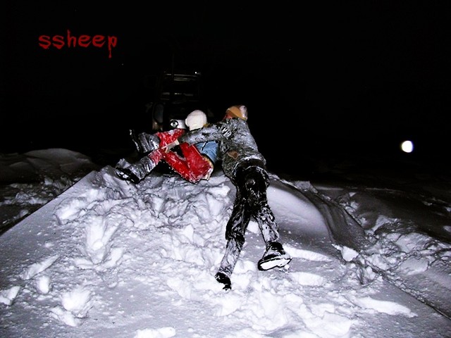 Wpis ssheep