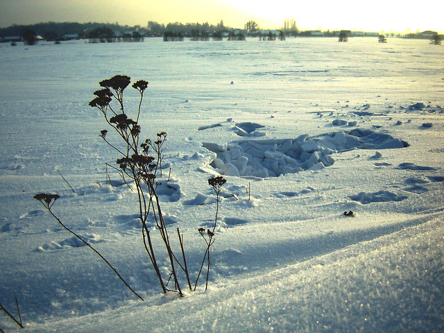 Celebruj chwil.