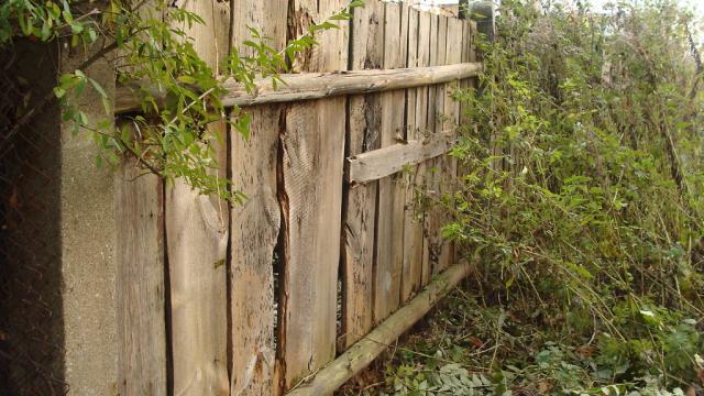 Fence
