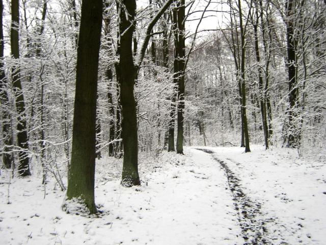 zima.