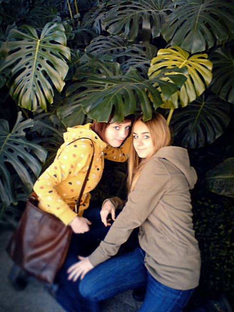 Wpis arbuuzowa