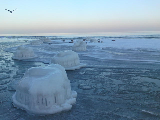 Koobrzeg 2010
