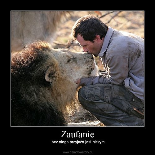 zaufanie