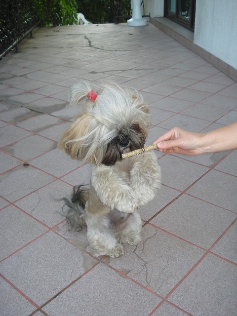 Oczko w gowie :*