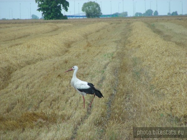 Wpis fotograf123
