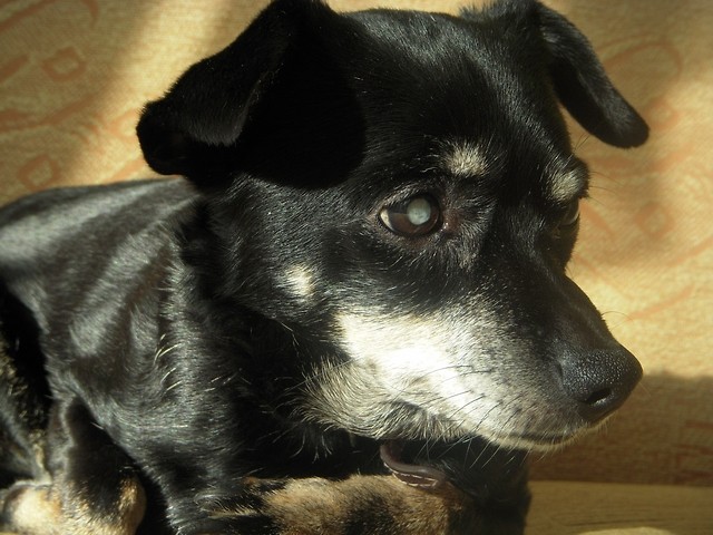 03.02.2010