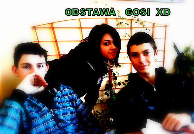 Obstawa Goi