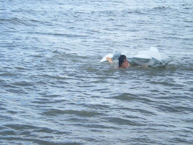 Delfin