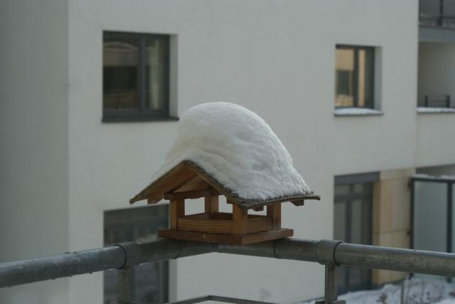 Warszawski nieg