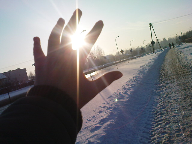 Slonecko ;D