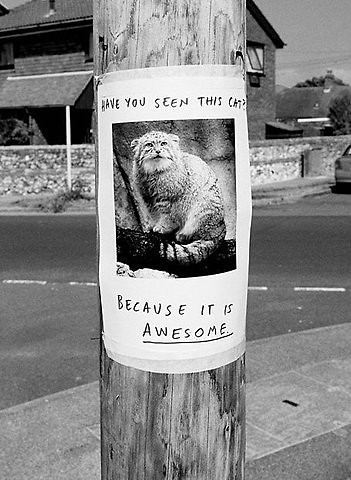AWESOME