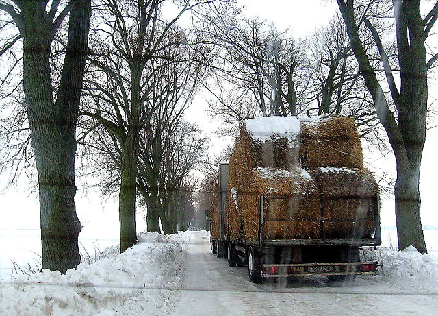 Snopki!!! ;))