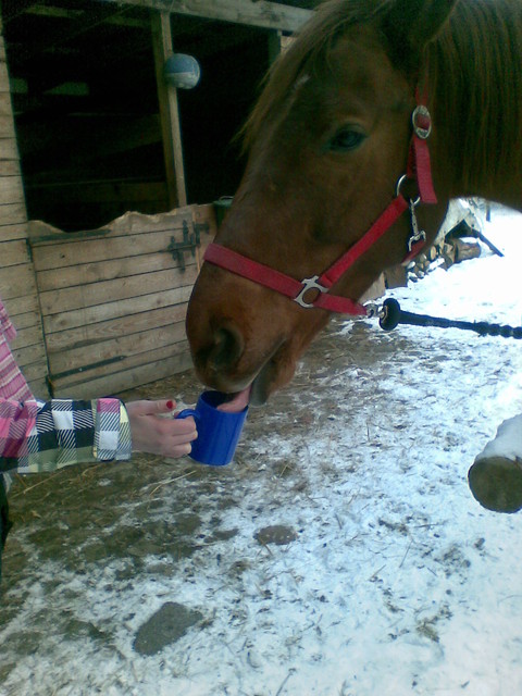 Poranna kawka :p